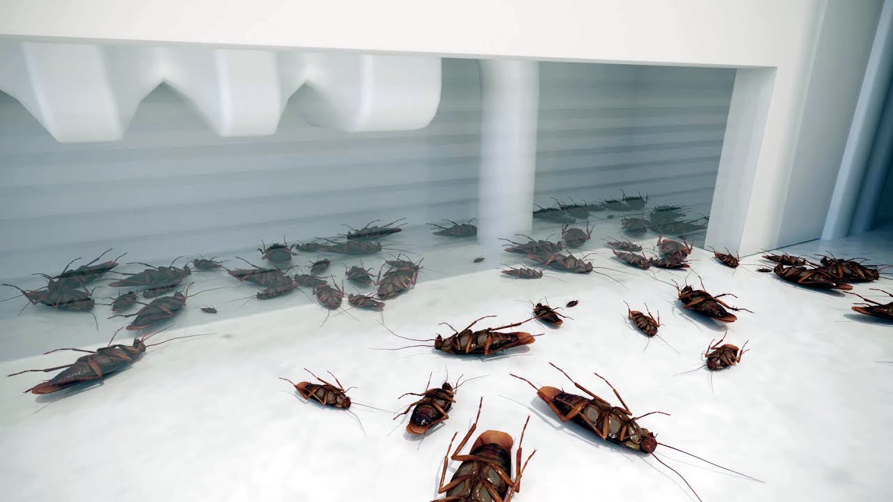 Application Of Goliath Gel In Kitchens A Goliath Gel Alkalmazasa Konyhaban Youtube