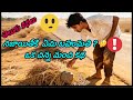 #తెలుగులోమంచికథలు#నీతి కథలు#shortstory#telugu#shortstory#katha#all#time#hit#stories#best#storytime