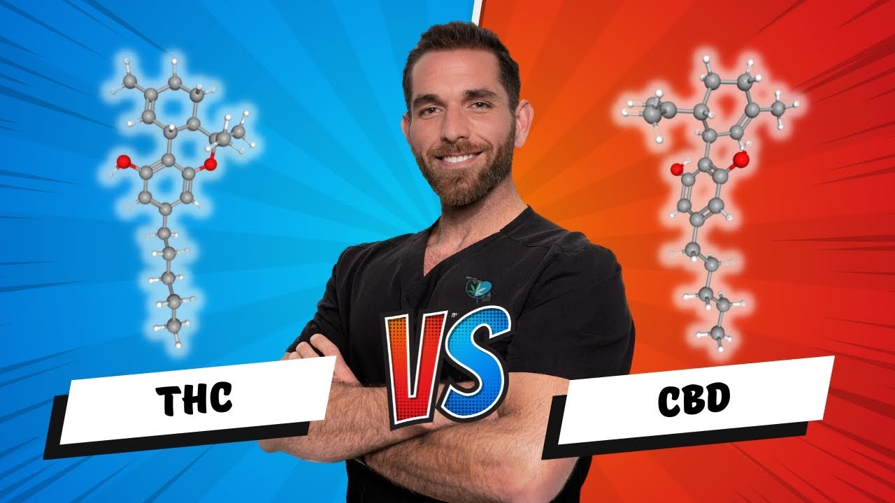 How THC and CBD are Similar and Different!