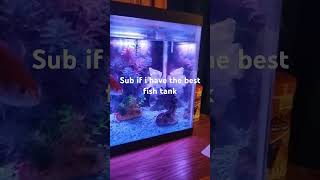 sub if I have the best fish tank