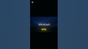 القرآن الكريم هو كلام الله المنزل بالوحي على النبي محمد صلى الله عليه وسلم بواسطة جبريل عليه السلام