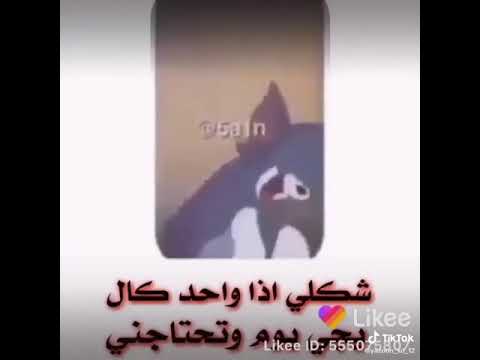 شكلي اذا واحد كال يجي يوم و تحتاجني