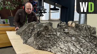 Milling Biggest Burl in my life. Logs to Lumber on a Bandsaw. First cut on Felder FB 510