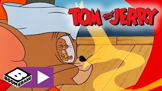 The smell of cheese wakes up jerry, but tom is on guard! subscribe to
boomerang uk channel: https://www./channel/ucmst562faloy2ckb4ifg...
