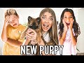 SURPRiSING My SiBLiNGS With a NEW PUPPY! *EMOTiONAL*