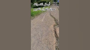 قران كريم بصوت جميل للشيخ ياسر الدوسري 🤲 #المصحف #اكسبلور #راحة_نفسية #الرحمن #الصلاه 😍#الصلاة_راحة