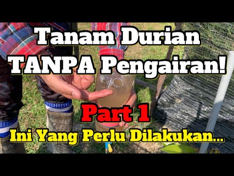 Video: Penyiraman Taman Lereng Bukit: Maklumat Mengenai Pengairan Bukit