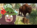 New Rule: DON'T PET THE BISON!!🐺 Planet Zoo: Redwood Park • #10