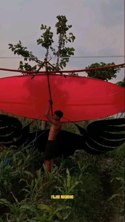 RAMRAMAN BIG SIZE 4.5 M SKIN MERAH #layangan #ramraman