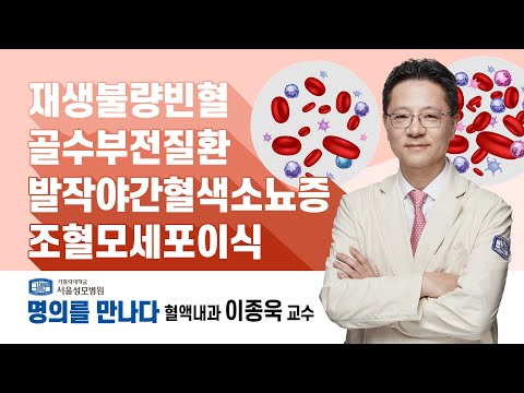 [서울성모병원] 혈액질환 명의! 혈액내과 이종욱 교수