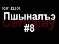 Пшыналъэ #8 | Ерыжь Зули