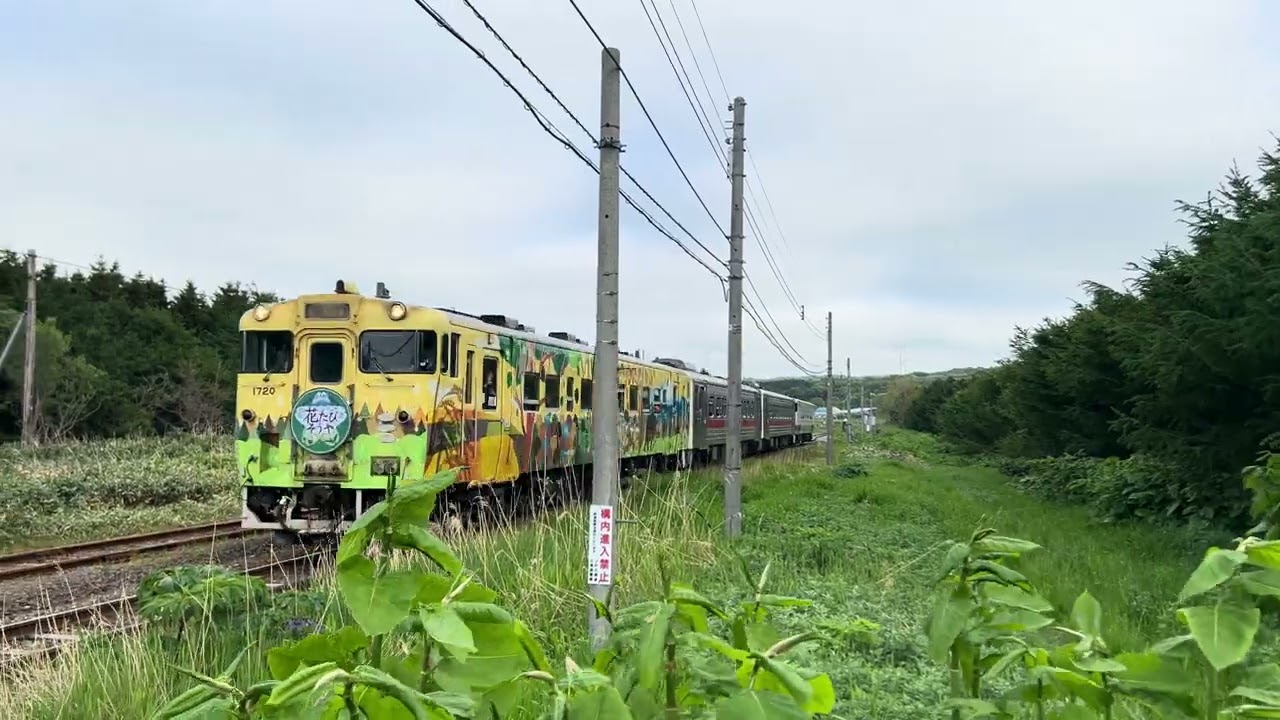宗谷本線】キハ40系+キハ54形 急行花たびそうや稚内行き @勇知-南稚内