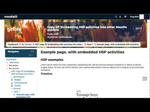 H5P moodle plugin with embed - issue with course copy