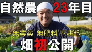 【※必見！】自然農23年目の畑初公開ー無農薬・無肥料・無除草剤・不耕起－