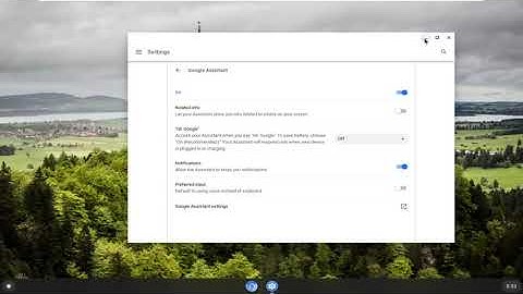Google Assistant on a Chromebook