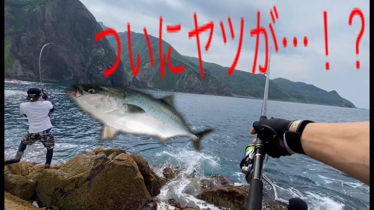 年 北海道積丹 ショアブリに恋こがれて ついにブリが釣れる Youtube