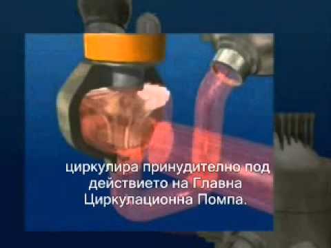 Видео: Мит или реалност ли е съществуването на природен ядрен реактор? - Алтернативен изглед