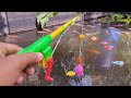 fishing for sharks and sea animals in fish pond, clown fish, angel fish, sea fish - Part110