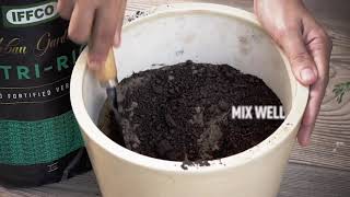 IFFCO - Nutri Rich 5Kg – Seaweed Fortified Vermi compost – 100% Organic Fertilizer & Manure