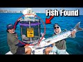 Trapping AQUARIUM FISH Using 1,000 LBS OF DEAD FISH! (deep sea trap)