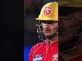 (pryansh arya🦁)#punjabi #lion #ipl #like #comment