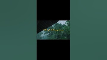 #تلاوة_خاشعة #اكسبلور #القرآن_الكريم #قرآن #راحة_نفسية #تلاوات#ياسر_الدوسري
