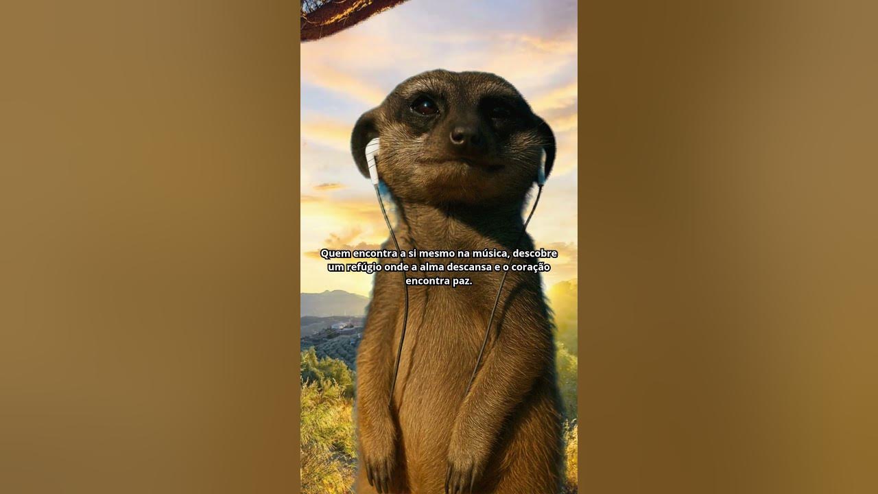 Diga uma sensação quando você esculta uma musica...