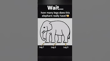 How many legs does this elephant have? Comment your answer #ivoryella #whiteelephant  #lionhead
