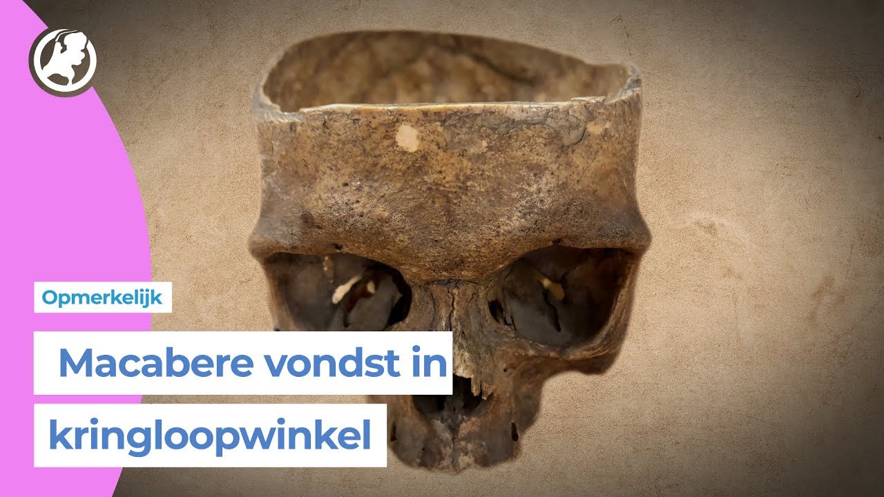 Menselijke schedel gevonden in kringloopwinkel
