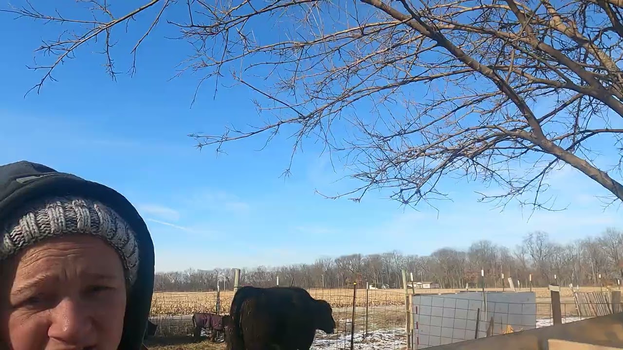 Building calf shelter pt3 ATV Farms ep #29