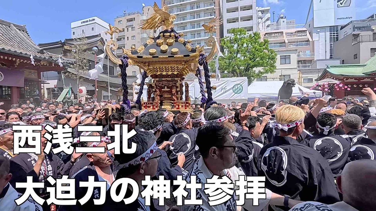三社祭】西浅三北 巨大神輿怒涛の浅草神社参拝 - YouTube