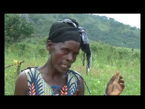 Vidéo: Comment L'accession à L'OMC Affectera L'agriculture