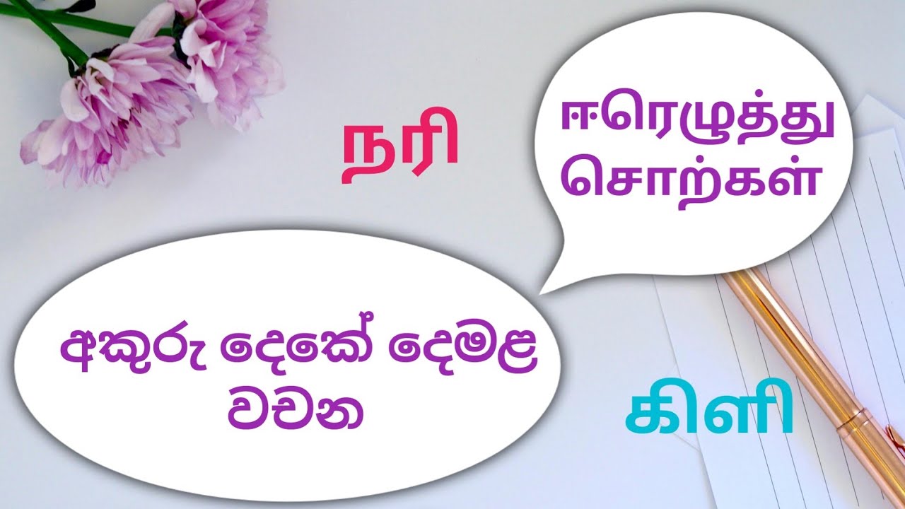 අකුරු දෙකේ දෙමළ වචන | Two letter words in tamil | இரண்டு எழுத்து சொற்கள்