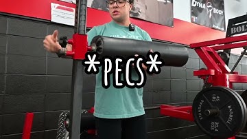 How to Use: Westside Inverse Leg Curl