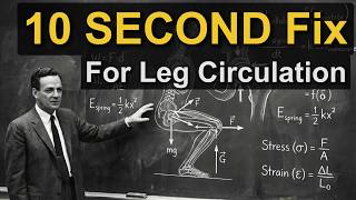 The 1 Move That FIXES YOUR Leg Circulation