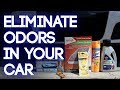 How to Deodorize a Car - Removing Smells in 5 Steps (Mouse, Garbage, Mildew and more)