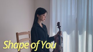 Ed Sheeran - Shape of You - Violin Cover Resimi