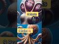 Octopus  के बारे में 5 facts | #ai #reels #facts #youtubeshorts #animals #knowledge #viral #octopus