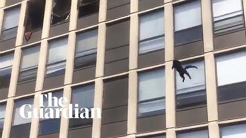 Cat jumps from fifth-floor of burning Chicago building and survives unharmed