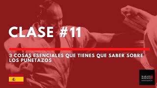 3 Cosas Esenciales Que Tienes Que Saber Sobre los Puñetazos - Karate [CLASE #11] screenshot 5
