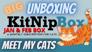 KitNipBox JAN & FEB Box 2023 Unboxing - Get To Know My Cats