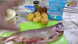 горбуша в духовке, простой, но очень вкусный рецепт приготовления рыбы в духовке