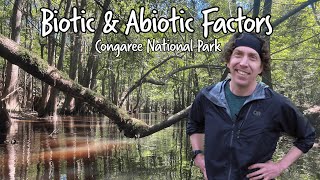Learning Biotic & Abiotic Factors in Congaree National Park