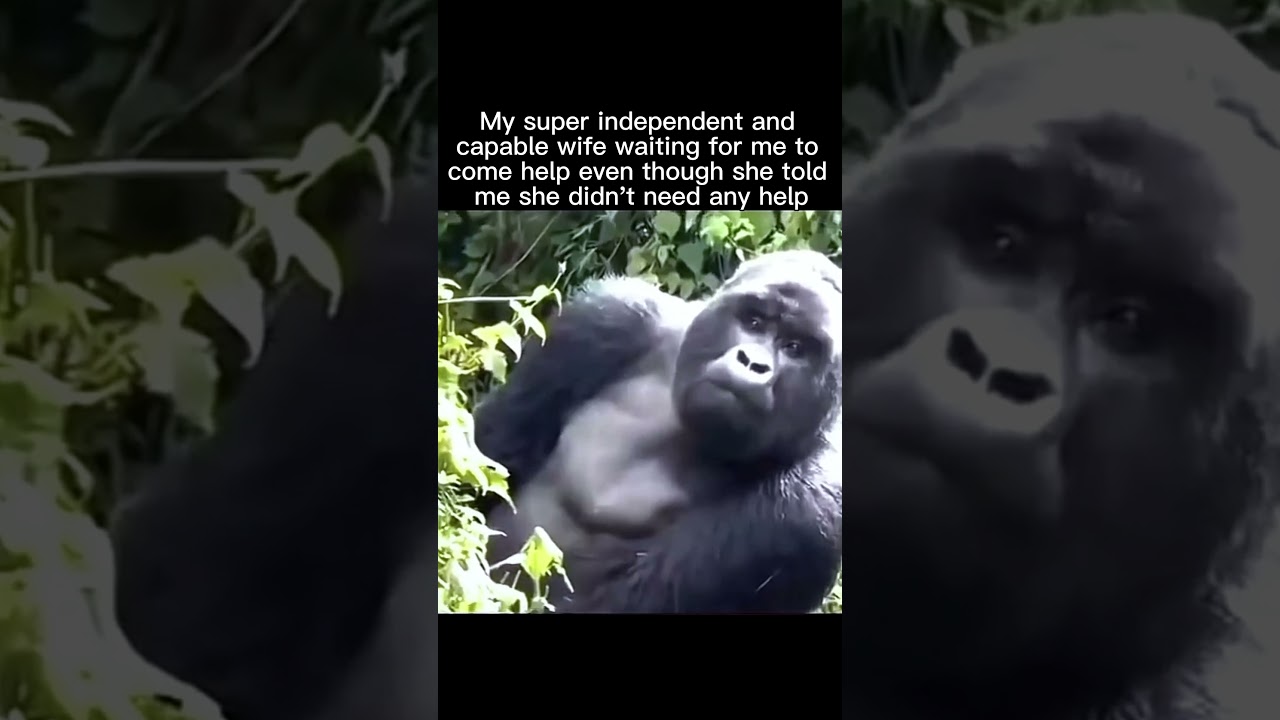 You see guys, its simple… see description 😂👇🏼👇🏼 #marriedlife #husbandandwife #funnycouple