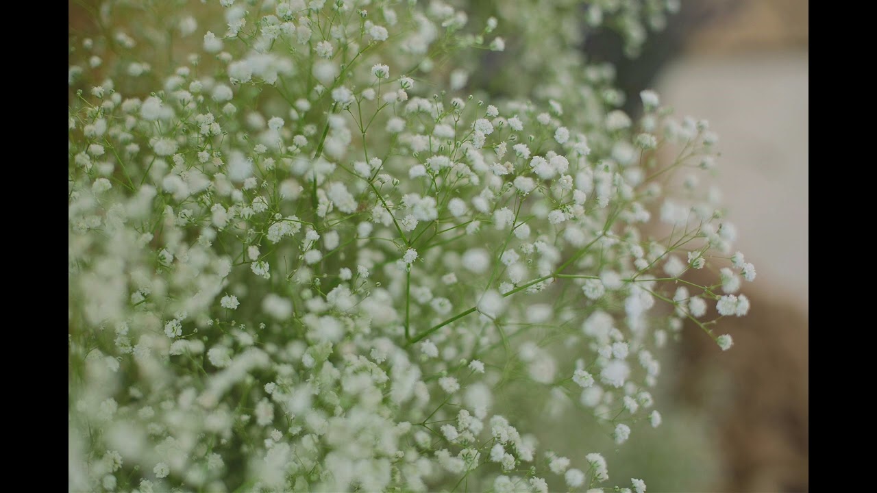 권진아 - 오늘 뭐했는지 말해봐(Cover)