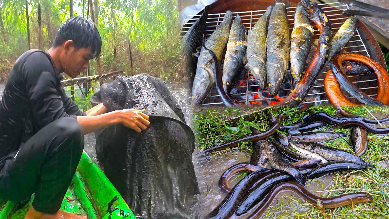 Bão Lớn Đổ Bộ Đi Rừng Tìm Mòi Cuộc Sống Ở Rừng u Minh 