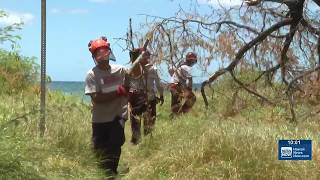 Veteran-led volunteers support Hurricane Lala response on Hawaii Island