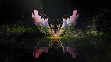 CAMP MOGRAPH 2024 : Hyunsup Ahn