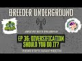 Episode 36: Diversification, Should You Do It?