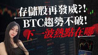 存儲股再發威! BTC趨勢不破!! 下一波熱點在哪!